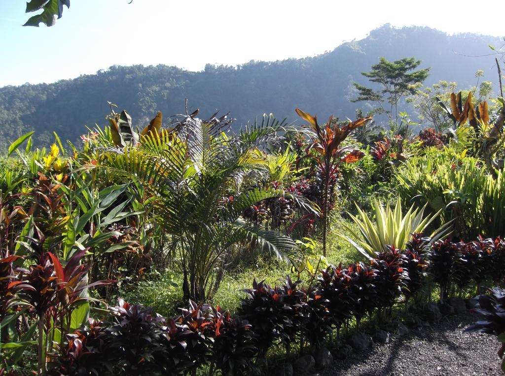 The Bukit Artha Sidemen (Bali) Exterior foto