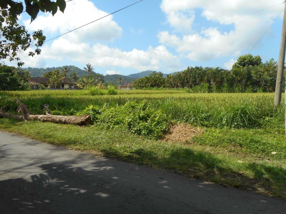 The Bukit Artha Sidemen (Bali) Exterior foto