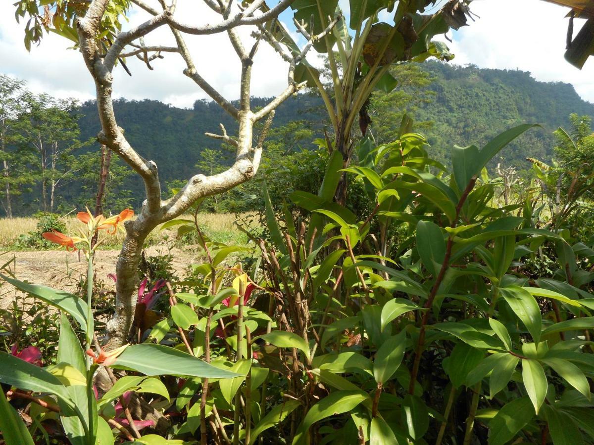 The Bukit Artha Sidemen (Bali) Exterior foto