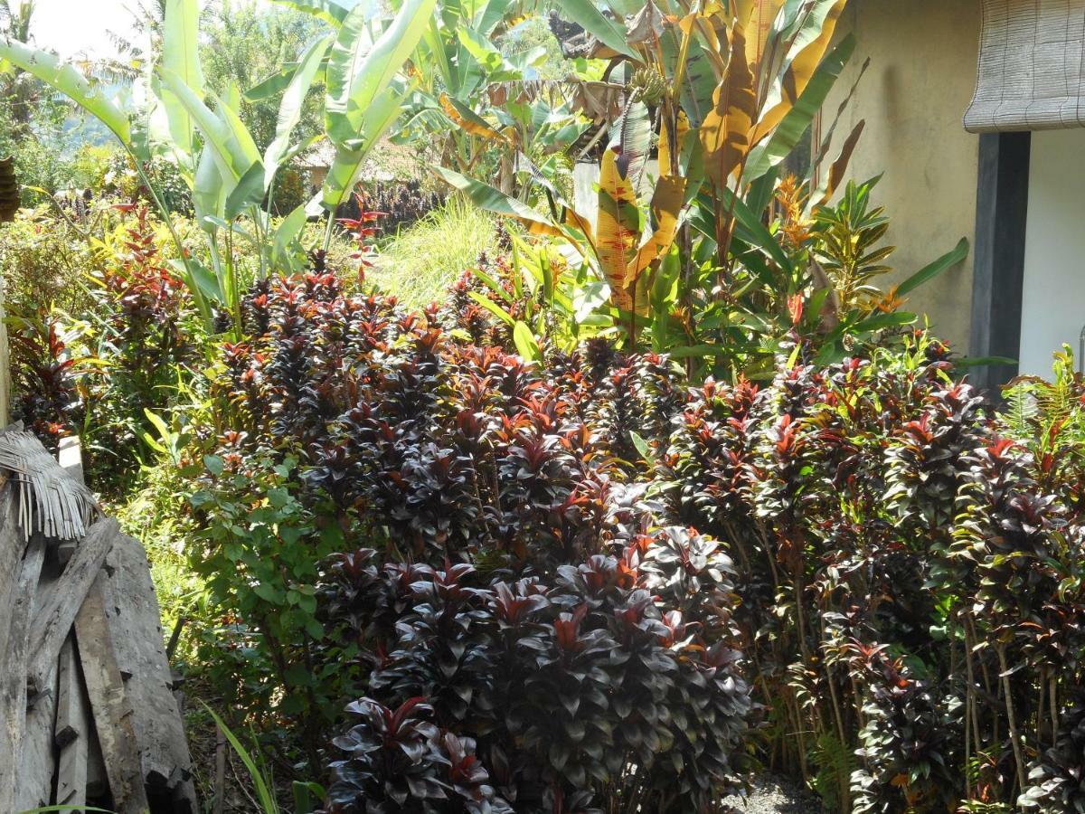 The Bukit Artha Sidemen (Bali) Exterior foto