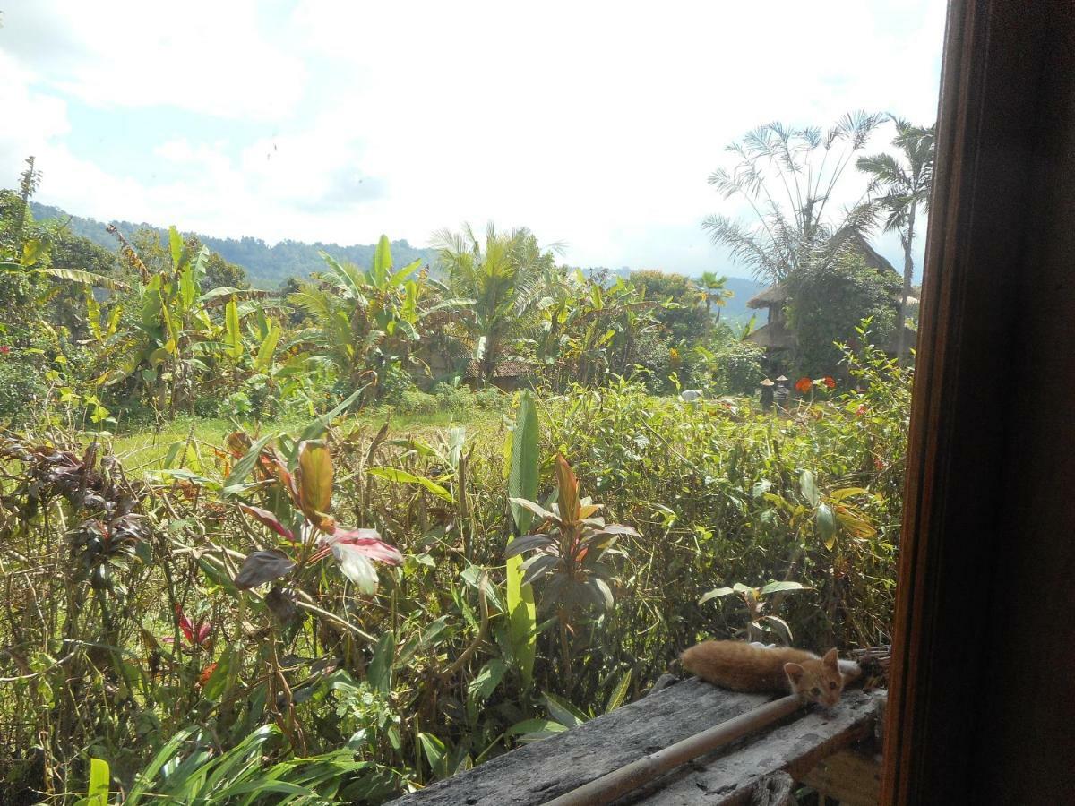 The Bukit Artha Sidemen (Bali) Exterior foto