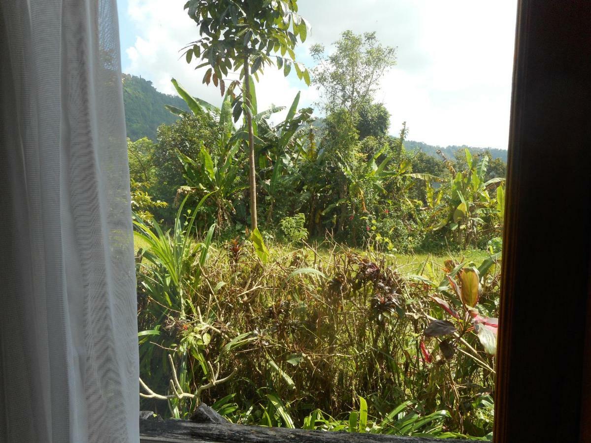 The Bukit Artha Sidemen (Bali) Exterior foto